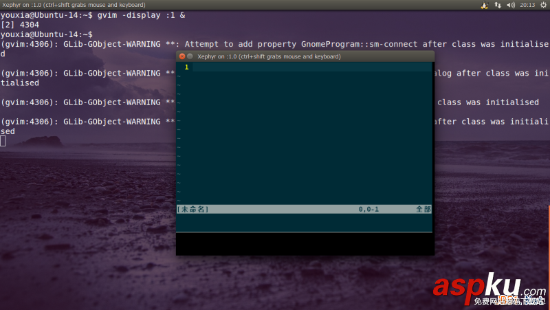 Linux折腾记,X,Window的奥秘