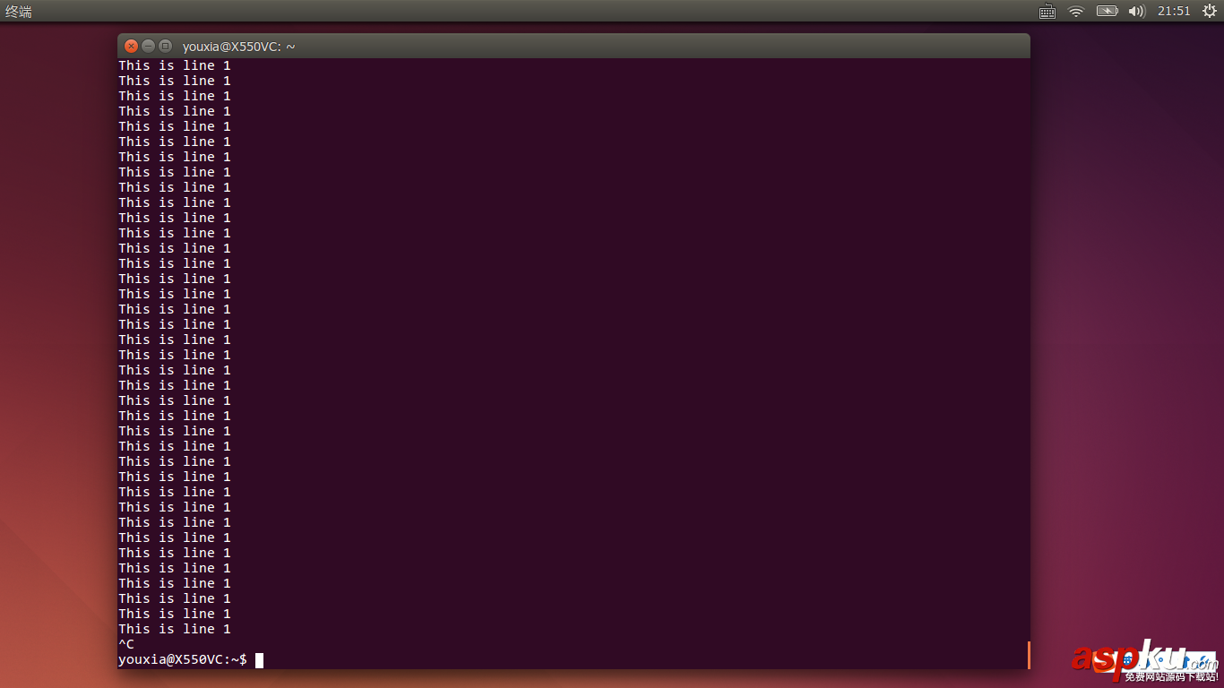 Linux折腾记,Bash,脚本编程语言,美学,哲学