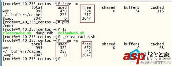 Linux,命令,释放内存