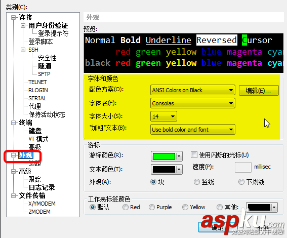 xshell,远程工具,中文