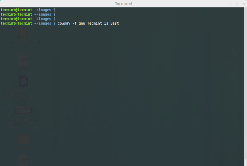 Linux,终端