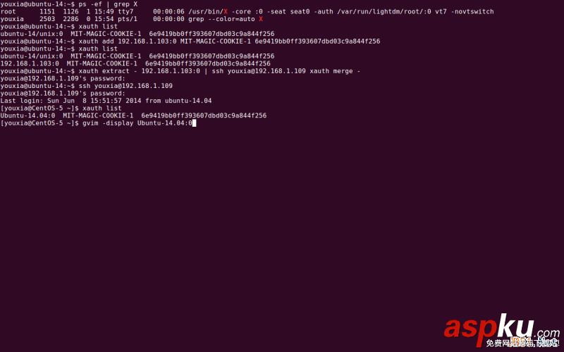 Linux折腾记,X,Window的奥秘