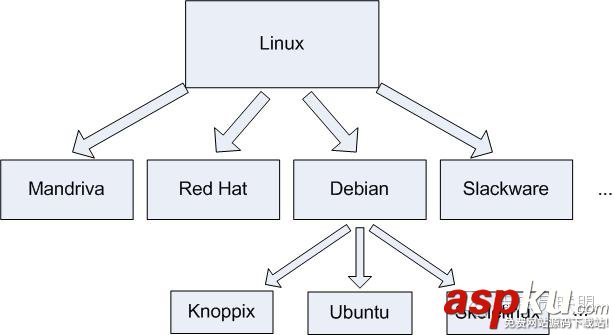 linux,探索