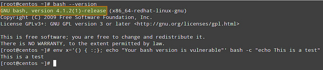 Linux,bash,漏洞