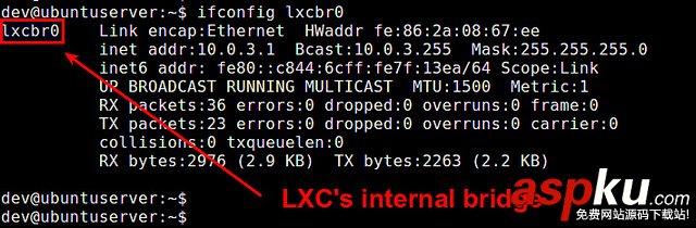 Ubuntu,容器
