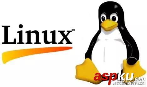 linux,探索