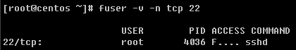 Linux,fuser