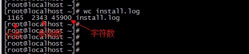 Linux,文本,字符数