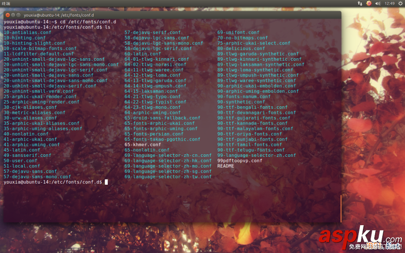 Linux折腾记,Ubuntu,14.10,使用Windows字体
