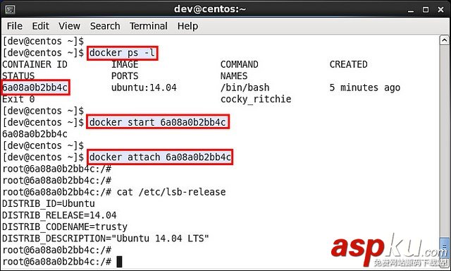 CentOS,Fedora,Docker容器