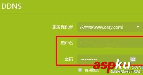 动态DNS,TP-Link,DDNS设置,tplink路由器ddns