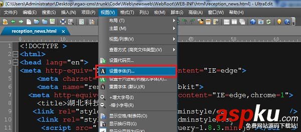 ultraedit,字体