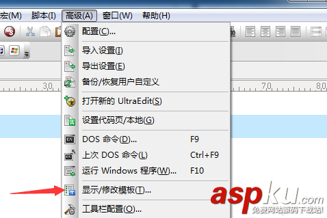 UltraEdit,模板