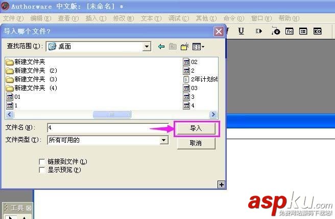 Authorware,图片