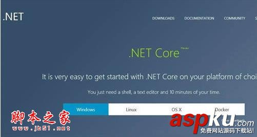 微软,.Net,Core,正式版,asp.net