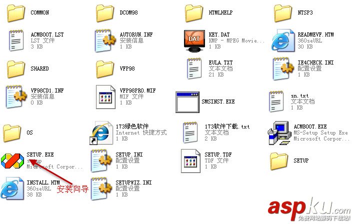 Visual,Foxpro