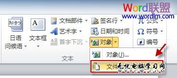 文本选项组