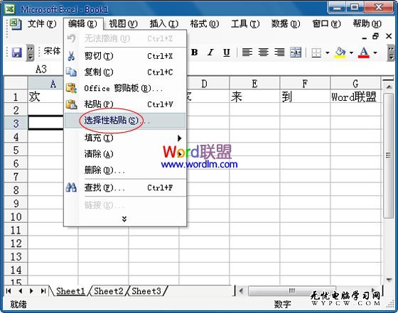 选择性粘贴