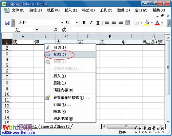 复制该行