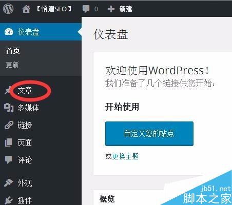 wordpress标签如何使用