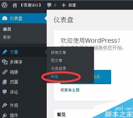 wordpress标签如何使用