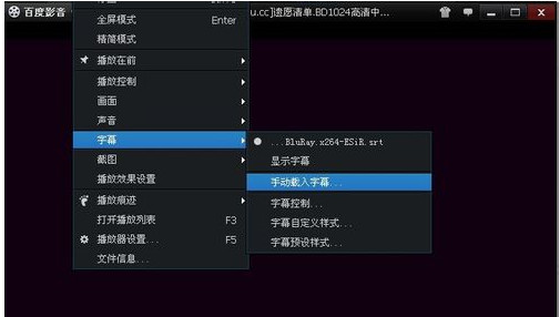 手动载入字幕