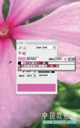 Flash cs3教程：仿真艺术设计1.13――渐变填充实现写实效果的技巧_中国教程网