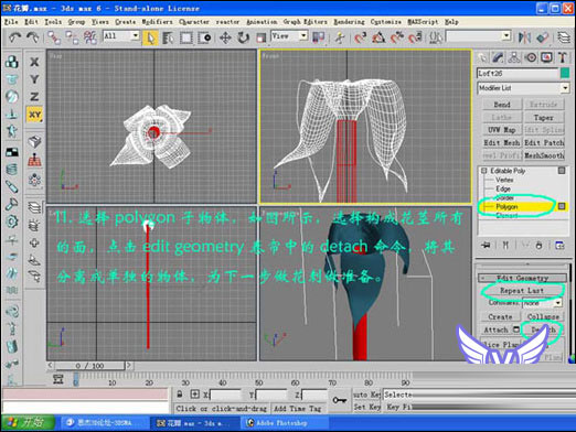 3dmax打造一支情人节玫瑰 武林网 3DSMAX建模教程