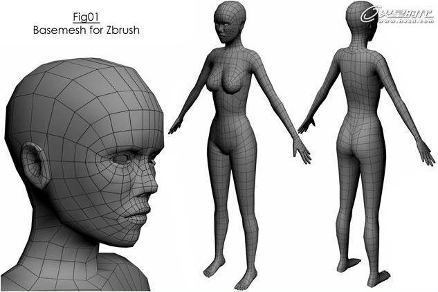 MAX打造次世代女机器人角色 武林网 3DSMAX建模教程