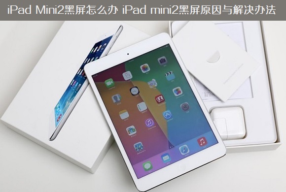 iPad Mini2黑屏怎么办 iPad mini2黑屏原因与解决办法