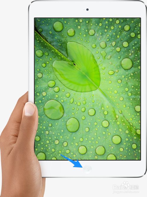 iPad mini2哪个键是退出和返回