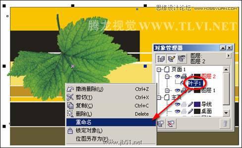 CorelDRAW设计环保宣传海报教程,PS教程,思缘教程网