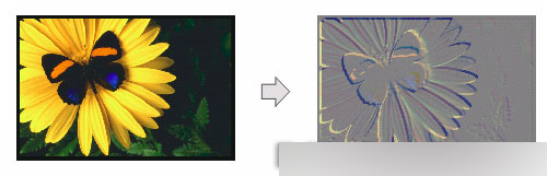 CorelDRAW 12循序渐进-应用滤镜 武林网 CorelDraw入门教程