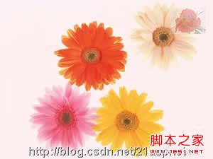 ASP组件AspJpeg(加水印)使用方法大全 - 糟老头 - 糟老�的地�