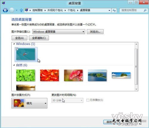 Windows 8消费者预览版中自带有少量主题，主题壁纸中有大家熟悉的Windows卡通鱼、自然植物主题等（1920×1200像素），还有专为双屏幕用户提供的3840×1200像素超宽壁纸。