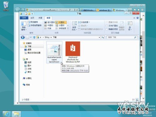 Windows 8消费者预览版中自带有少量主题，主题壁纸中有大家熟悉的Windows卡通鱼、自然植物主题等（1920×1200像素），还有专为双屏幕用户提供的3840×1200像素超宽壁纸。