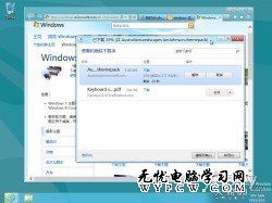 Windows 8消费者预览版中自带有少量主题，主题壁纸中有大家熟悉的Windows卡通鱼、自然植物主题等（1920×1200像素），还有专为双屏幕用户提供的3840×1200像素超宽壁纸。