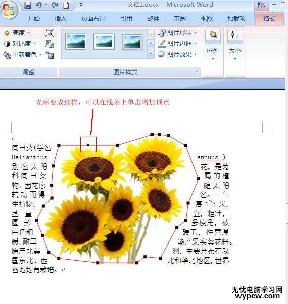 word2007图片紧密环绕文字的两种技巧