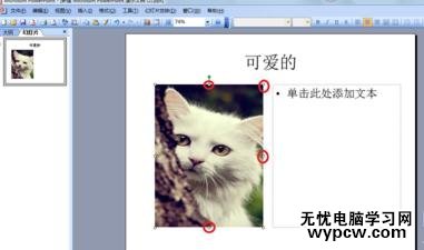 ppt2013怎么设置文字环绕效果