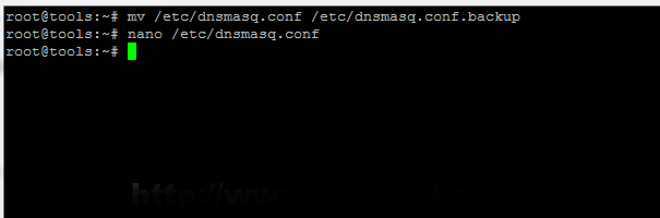 Backup Dnsmasq Configuration