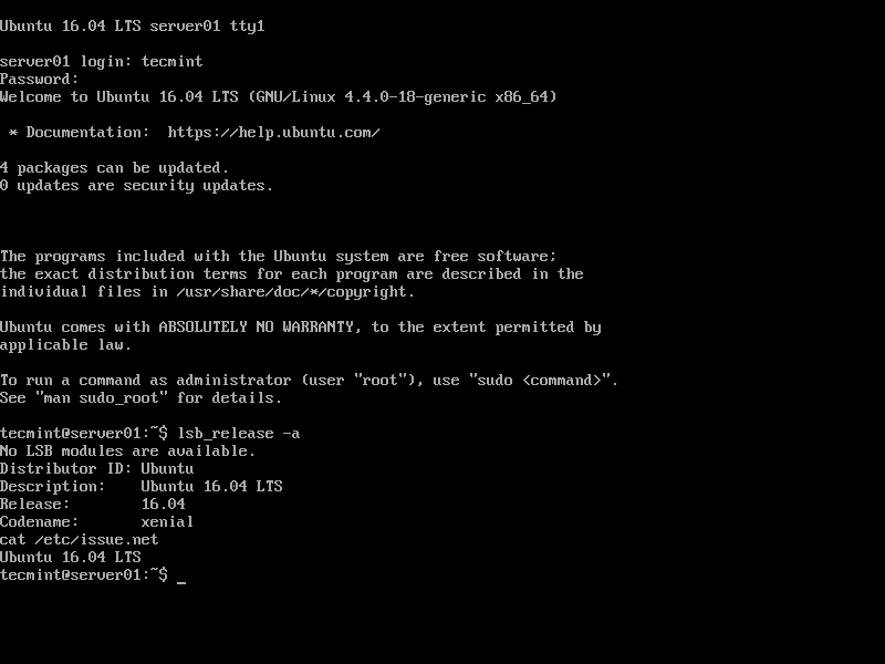 Ubuntu 16.04 Server Login Prompt