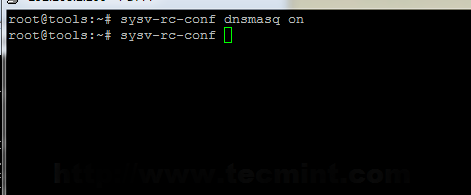 Enable DNSMASQ Daemon