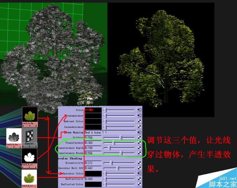 Maya打造真实热带雨林 武林网 MAYA材质灯光