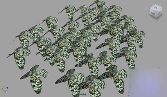 MAYA Instancers 制作蝴蝶群舞 武林网 MAYA角色动画教程