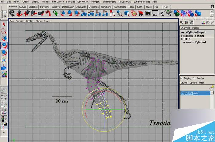 MAYA 7.0恐龙建模教程 武林网 MAYA建模教程