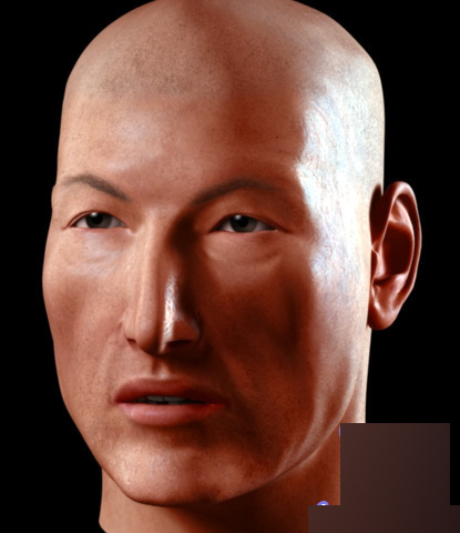 MAYA 7.0制作人的皮肤阴影教程（英文教程） 武林网 MAYA材质灯光