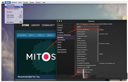mac版steam无法设置中文 steam更新后中文设置无效解决方法1