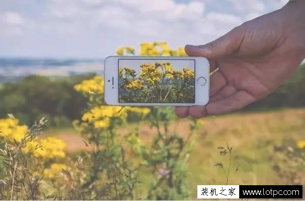 手机知识：手机高像素为什么不等于高画质？