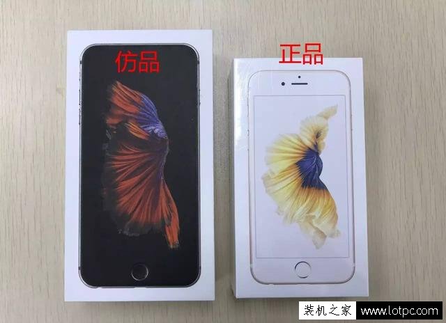 教你智斗奸商 真假苹果iPhone手机鉴别终极大招