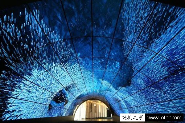 LED和OLED的哪个好？带你了解OLED和LED的区别